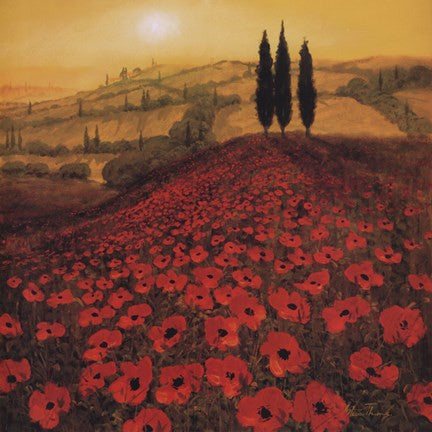 Poppy Field