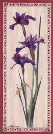 Iris Panel II