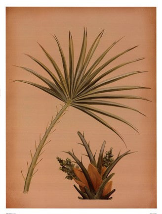 Palm Frond I