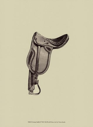 Antique Saddle II