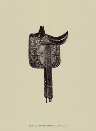 Antique Saddle III