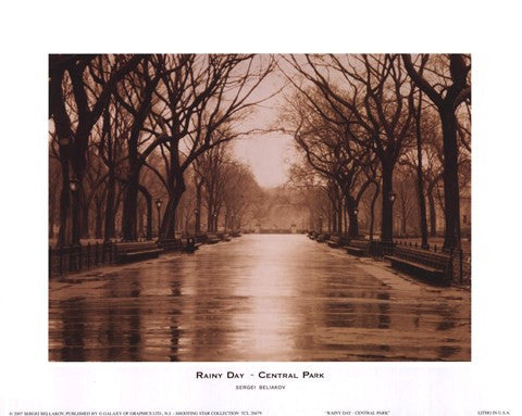 Rainy Day - Central Park