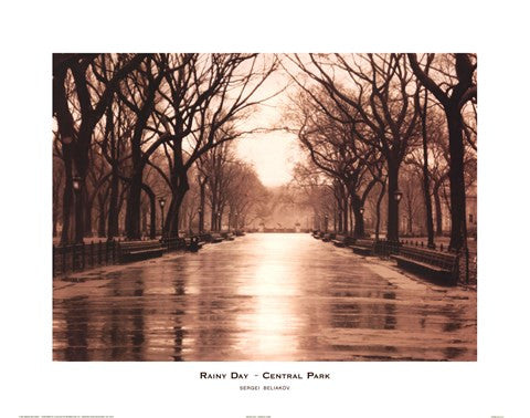 Rainy Day - Central Park