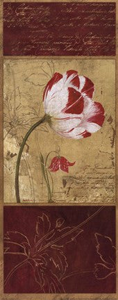 Tulip Journal I