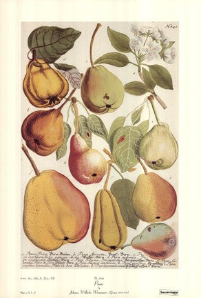 Pears