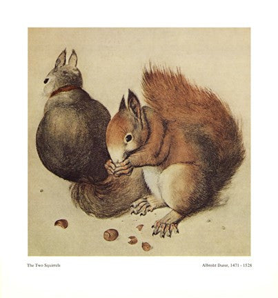 Squirrels, c.1512