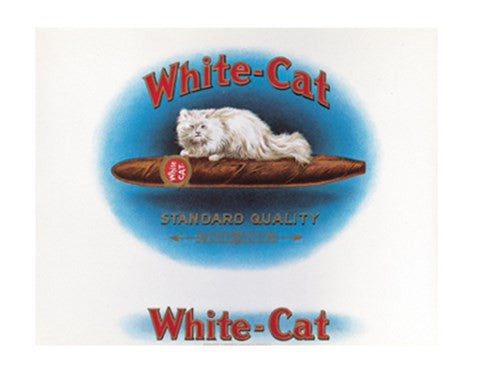 White Cat