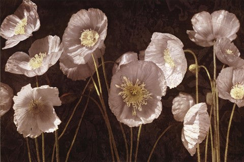 Baroque Poppies