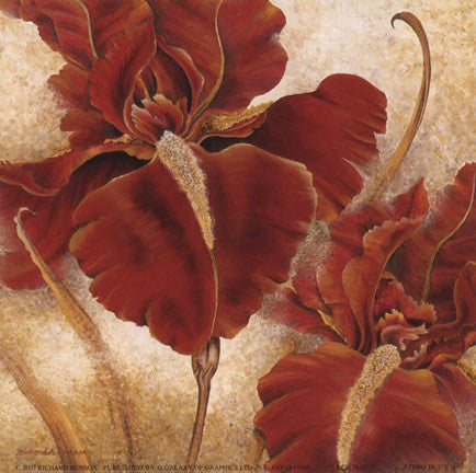 Red Iris