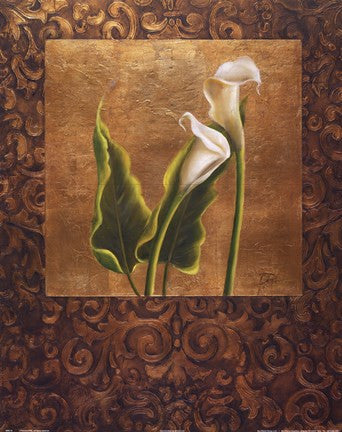 Calla Lily With Arabesque II