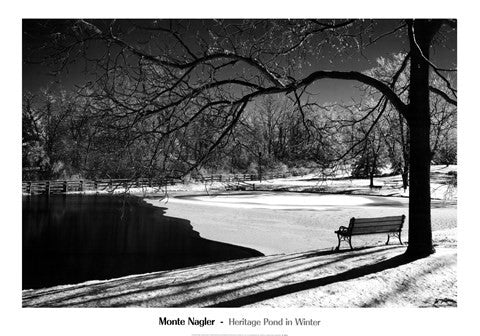 Heritage Pond In Winter