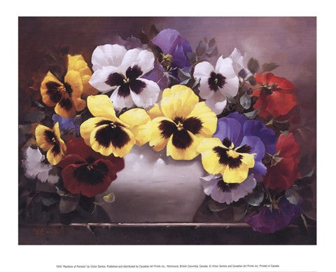 Rainbow of Pansies