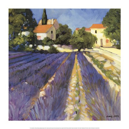 Lavender Fields