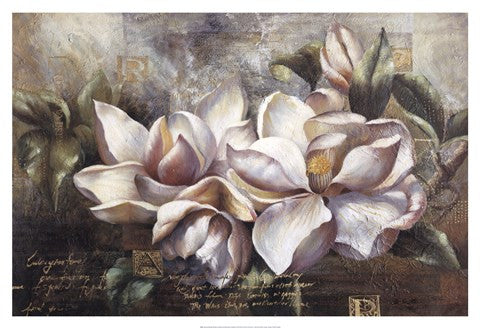 Dawning Magnolias