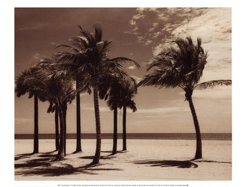 Key Biscayne I