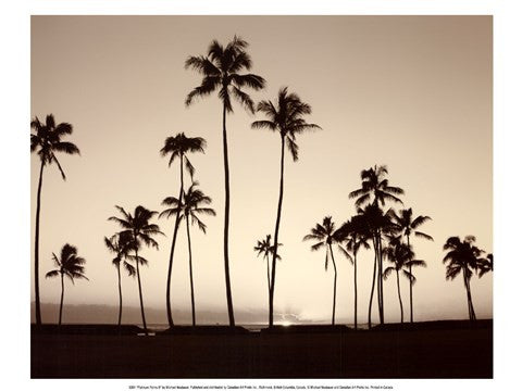 Platinum Palms II