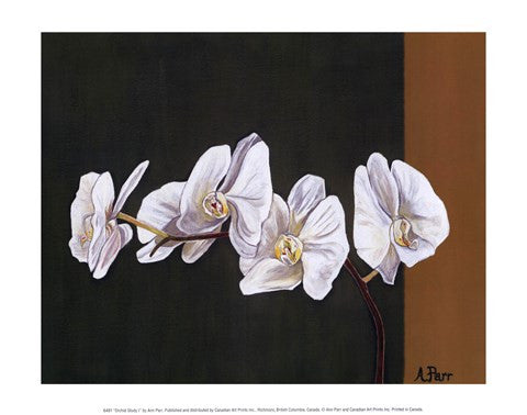 Orchid Study I