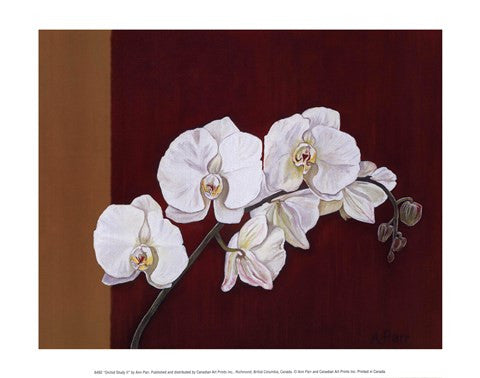 Orchid Study II