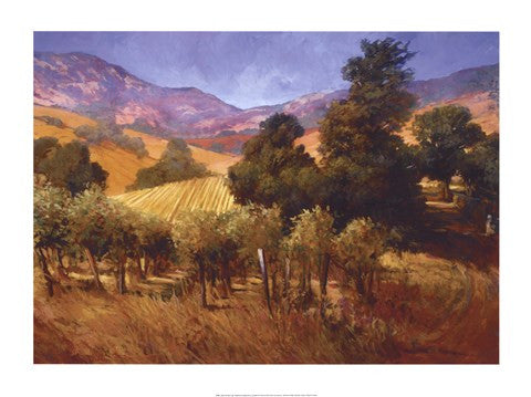 Southern Vineyard Hills