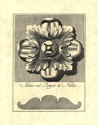 Vintage Rosette And Profile I