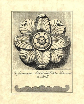 Vintage Rosette And Profile II