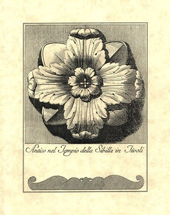 Vintage Rosette And Profile III