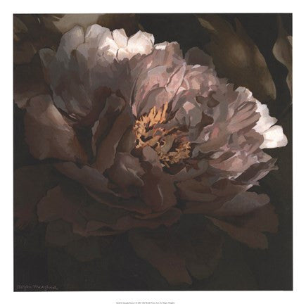 Moonlit Peony I