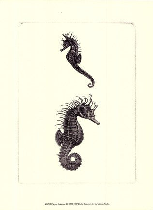 Sepia Seahorse