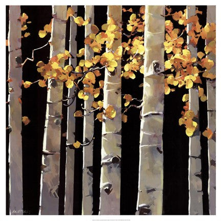 Aspen Grove