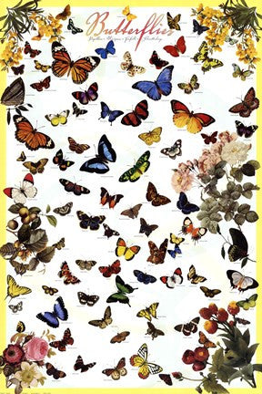 Butterflies flying