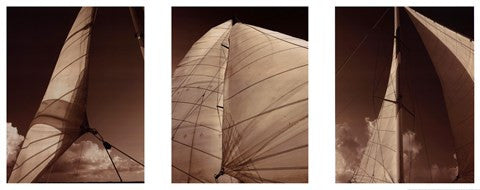 Windward Sails Triptych