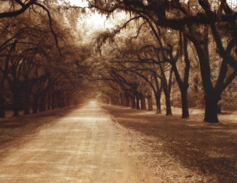 Savannah Oaks II