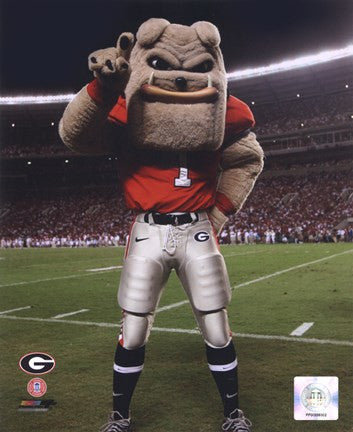 The Univserity of Georgia Bulldogs Mascot 2007