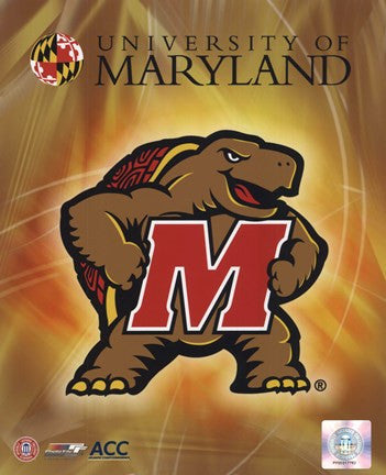 University of Maryland 2008 Logo