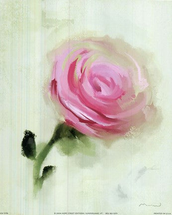 Pink Rose