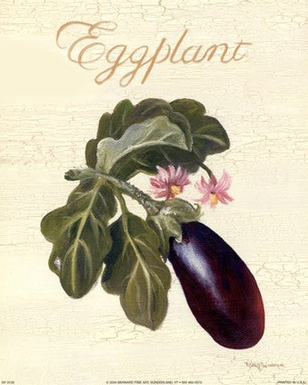 Eggplant