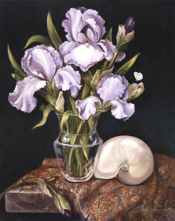 Purple Iris with Shell