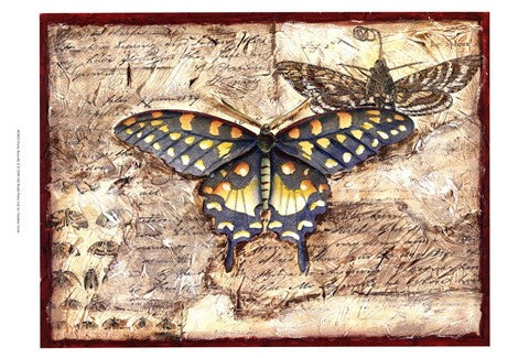 Poetic Butterfly II