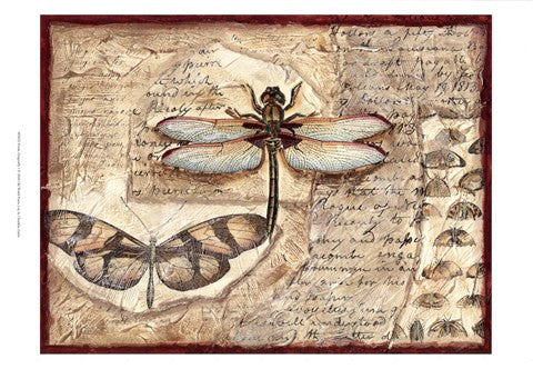 Poetic Dragonfly I