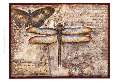 Poetic Dragonfly II