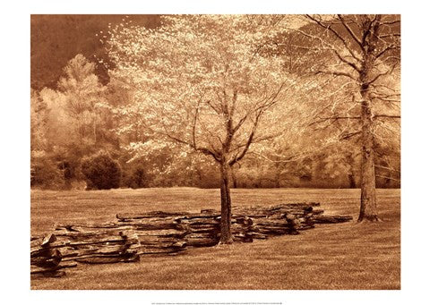 Smokies Fence