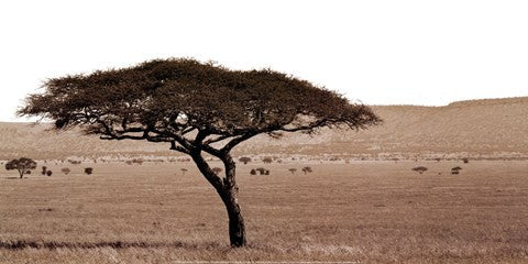 Serengeti Horizons I