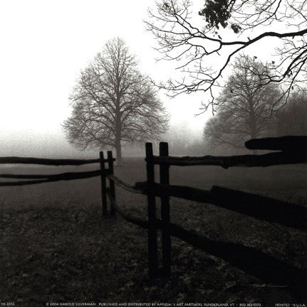 Fence in the Mist