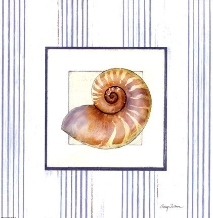 Sanibel Shell III