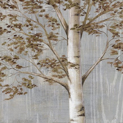 Birch Study I