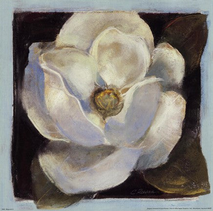 Magnolia II