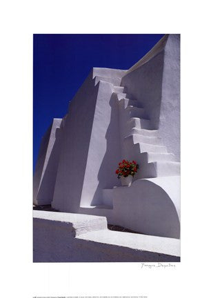 White Steps with Geraniums