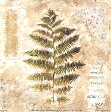 Sokol-hohne - Decorative Fern II