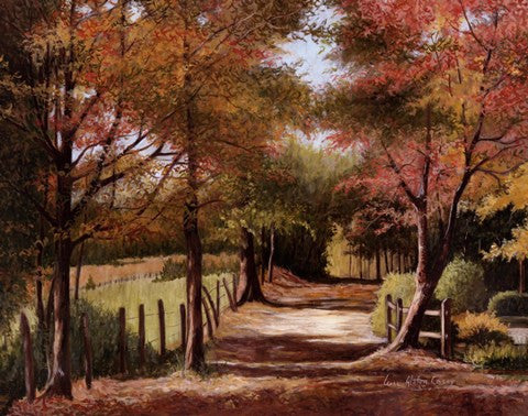 Autumn Country Road