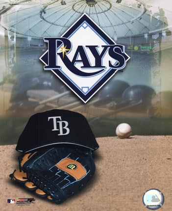 2008 Tampa Bay Rays Team Logo